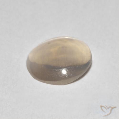 0.79克拉天然硅线石猫眼，椭圆形，透明