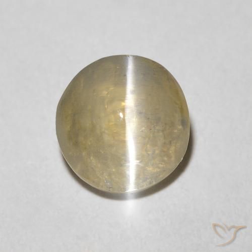 1.45ct 天然 浅玉米饼棕色 硅线石猫眼, 椭圆形, 透明