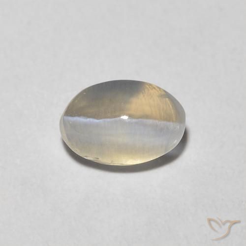 0.81ct 天然 暖白 硅线石猫眼, 椭圆形, 透明