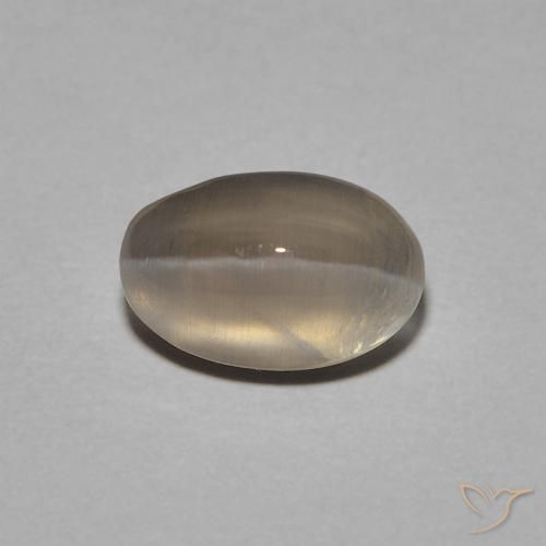 1.40ct 天然 非常浅的棕色 硅线石猫眼, 椭圆形, 透明