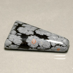 14.82克拉天然多色雪花黑曜石，异形，27.1×16.5毫米，不透明