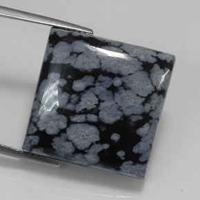 20.67克拉天然黑色雪花黑曜石，方形，20×19.8毫米，不透明