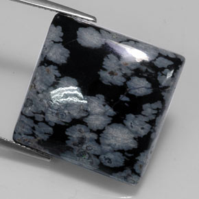 20.19克拉天然黑色雪花黑曜石，方形，19.8×19.8毫米，不透明