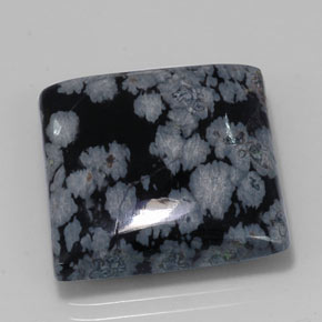 20.19克拉天然黑色雪花黑曜石，方形，19.8×19.8毫米，不透明