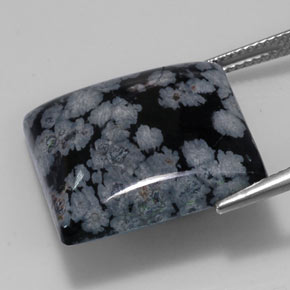 20.19克拉天然黑色雪花黑曜石，方形，19.8×19.8毫米，不透明