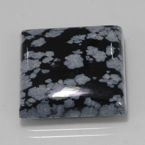 21.45克拉天然黑色雪花黑曜石，方形，19.9×19.9毫米，不透明