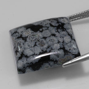 22.67克拉天然黑色雪花黑曜石，方形，19.7×19.5毫米，不透明