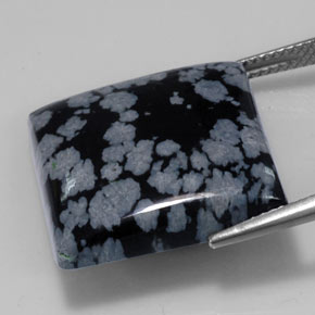 21.53克拉天然黑色雪花黑曜石，方形，19.9×19.9毫米，不透明