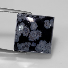 12.55克拉天然黑色雪花黑曜石，方形，15.1×15.1毫米，不透明