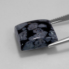 12.55克拉天然黑色雪花黑曜石，方形，15.1×15.1毫米，不透明