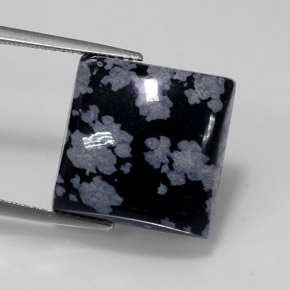 12.36克拉天然雪花黑曜石，正方形，不透明