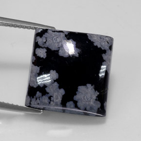 12.26克拉天然多色雪花黑曜石，方形，15.1×15.1毫米，不透明