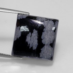 11.19克拉天然黑色雪花黑曜石，方形，14.9×14.9毫米，不透明