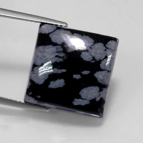 11.53克拉天然多色雪花黑曜石，方形，14.9×14.9毫米，不透明