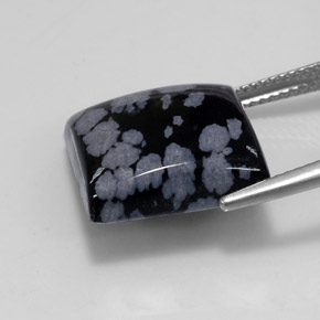 11.53克拉天然多色雪花黑曜石，方形，14.9×14.9毫米，不透明