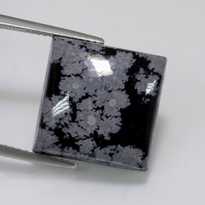11.84克拉天然黑色雪花黑曜石，方形，15×14.9毫米，不透明