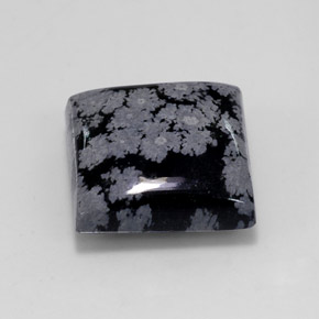 11.84克拉天然黑色雪花黑曜石，方形，15×14.9毫米，不透明