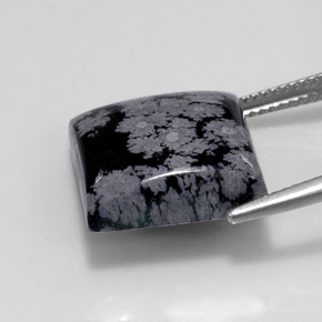 11.84克拉天然黑色雪花黑曜石，方形，15×14.9毫米，不透明