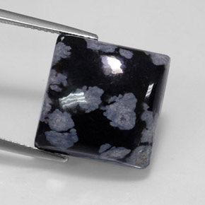 11.46克拉天然多色雪花黑曜石，方形，14.9×14.9毫米，不透明