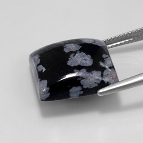 11.46克拉天然多色雪花黑曜石，方形，14.9×14.9毫米，不透明