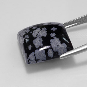 12.37克拉天然黑色雪花黑曜石，方形，15×14.9毫米，不透明
