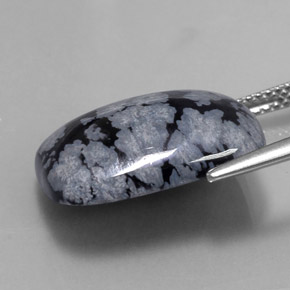 10.02克拉天然雪花黑曜石，垫形剪裁，不透明