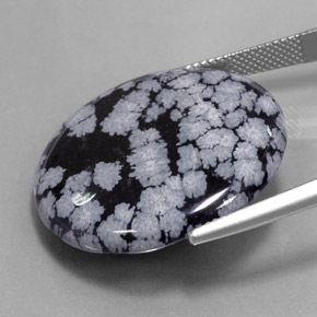 27.54克拉天然雪花黑曜石，圆形切割，不透明