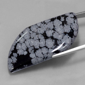 49.62克拉天然黑色雪花黑曜石，异形，40.5×23.4毫米，不透明