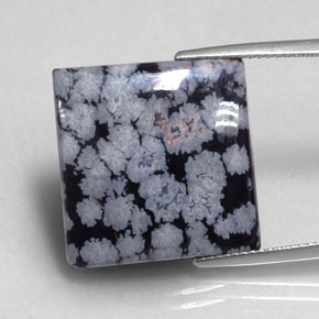16.12克拉天然黑色雪花黑曜石，方形，19.3×18.7毫米，不透明