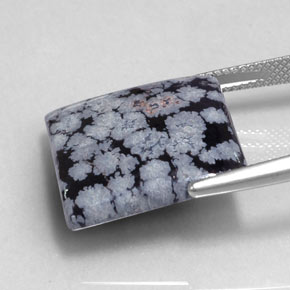 16.12克拉天然黑色雪花黑曜石，方形，19.3×18.7毫米，不透明