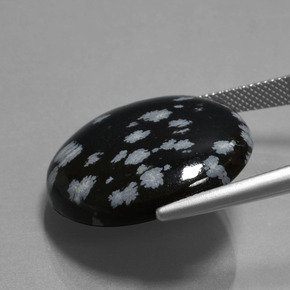 26.06克拉天然雪花黑曜石，圆形切割，不透明