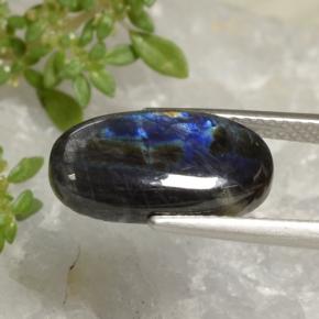 3.52克拉天然光谱石，椭圆形切割，不透明