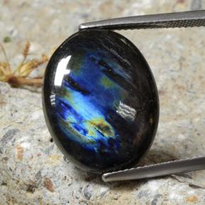 10.68克拉天然光谱石，椭圆形切割，不透明