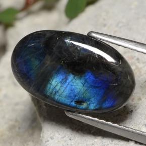 3.27克拉天然多色光谱拉长石，椭圆形切割，15.8×9.4毫米，不透明
