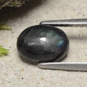 1.49克拉天然光谱石，椭圆形切割，不透明
