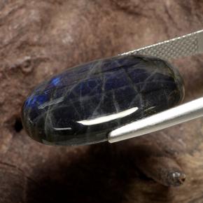 16.82克拉天然光谱石，椭圆形切割，不透明