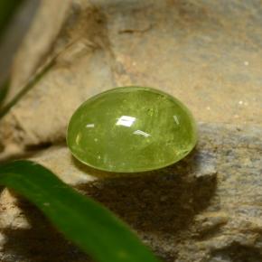 5.04克拉天然绿色榍石，椭圆形切割，10.7×9.4毫米，半透明