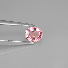 0.63克拉天然粉色尖晶石，椭圆形切割，5.6×4.7毫米，VS