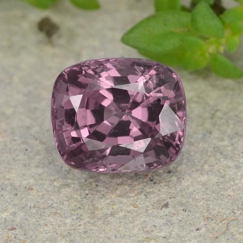 1.52ct 天然 黑桑格利亚汽酒 尖晶石, 软垫, VVS-VS