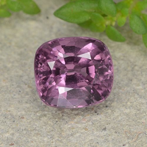 1.50ct 天然 中紫色 尖晶石, 软垫, VVS-VS