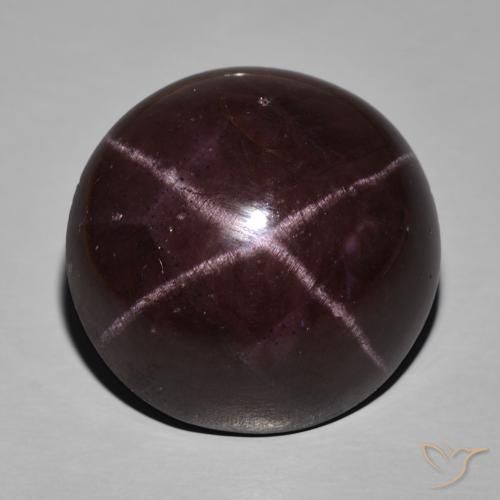 63.29ct 天然 暗红色 星石榴石, 椭圆形, 不透明