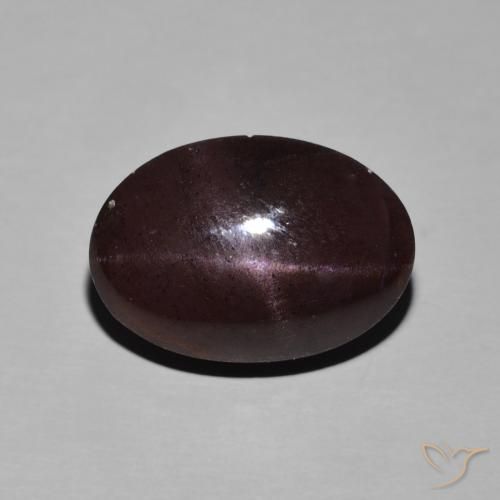 14.01ct 天然 暗红色 星石榴石, 椭圆形, 不透明