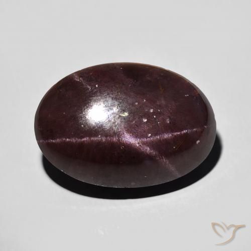 15.62ct 天然 暗红色 星石榴石, 椭圆形, 不透明