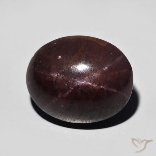 12.82ct 天然 暗红色 星石榴石, 椭圆形, 不透明