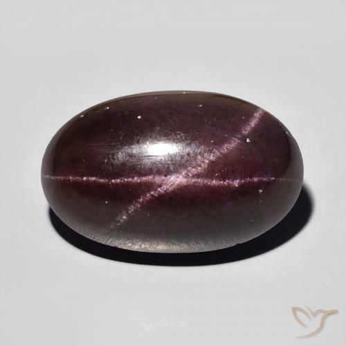 15.32ct 天然 暗红色 星石榴石, 椭圆形, 不透明