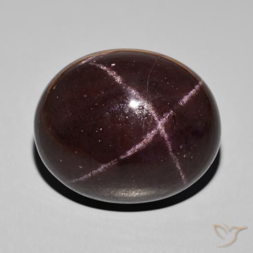 66.39ct 天然 暗红色 星石榴石, 椭圆形, 不透明