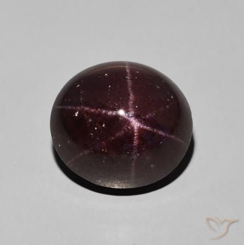 9.92ct 天然 暗红色 星石榴石, 椭圆形, 不透明