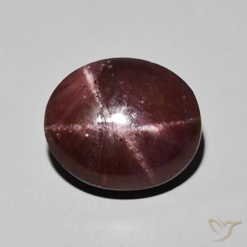 13.83ct 天然 桃花心木红 星石榴石, 椭圆形, 不透明