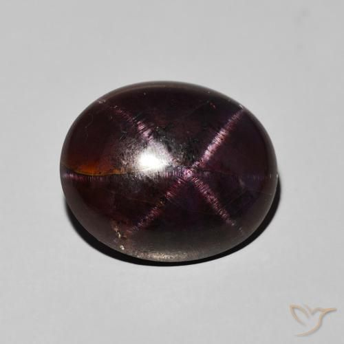 16.21ct 天然 暗红色 星石榴石, 椭圆形, 不透明