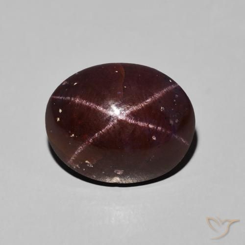 9.76ct 天然 暗红色 星石榴石, 椭圆形, 不透明
